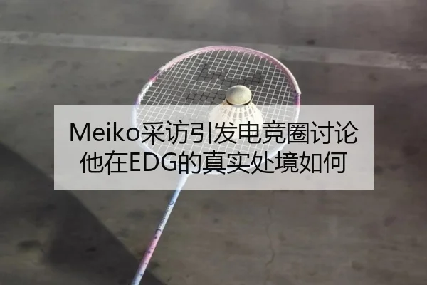 Meiko采访引发电竞圈讨论 他在EDG的真实处境如何